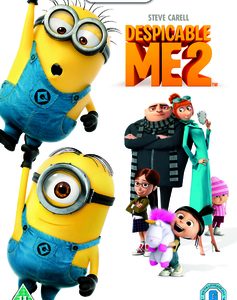 Despicable Me 2 (DVD)