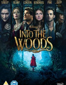 Into the Woods (Anna Kendrick, Emily Blunt, Johnny Depp, Meryl Streep) (DVD)