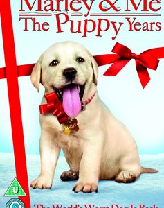 Marley and Me: The Puppy years (DVD)
