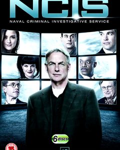 NCIS - Season 10 (DVD)