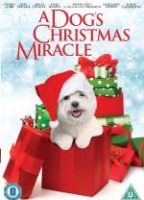 Dog's Christmas Miracle, A (DVD)
