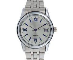 Element Watch - Gents - silver (NL588GS)