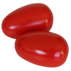 Large Plastic Shake Eggs (60805)