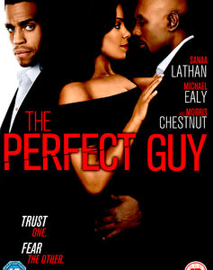 Perfect Guy, The (DVD)