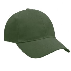 Classic 6 Panel Cap - olive