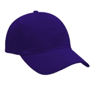 Classic 6 Panel Cap - purple