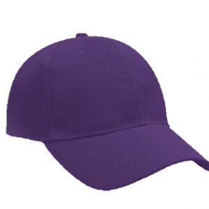 Promo 6 Panel Cap - purple