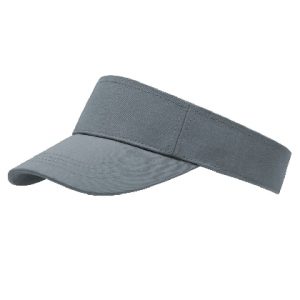 Sunvisor - grey