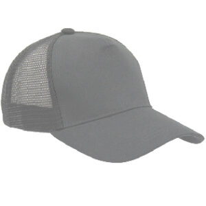 Trucker Cap - grey