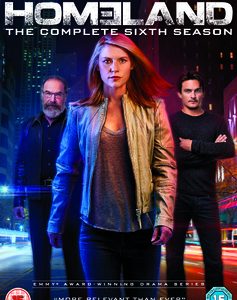 Homeland - Season 6 (DVD)