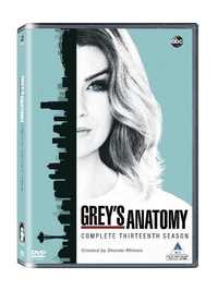 Greys Anatomy - Season 13 (DVD)