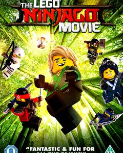 Lego Ninjago Movie, The (DVD)