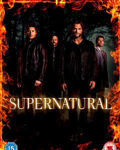 Supernatural - Season 12 (DVD)