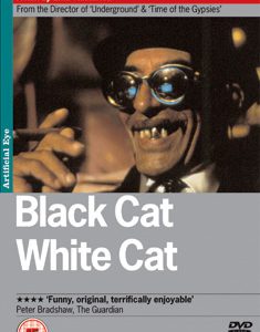 Black Cat White Cat (DVD)
