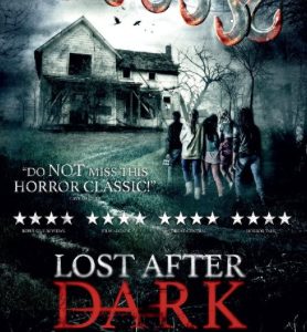 Lost After Dark (DVD)