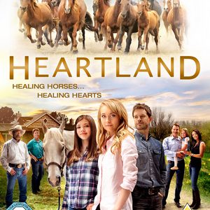 Heartland - Series 8 (DVD)