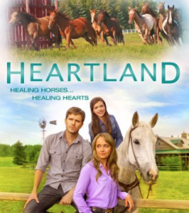 Heartland - Series 9 (DVD)