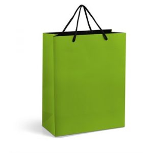 Omega Midi Gift Bag - lime (Giftbag-2020)