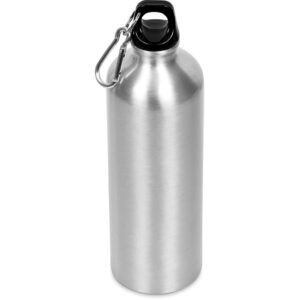 Solano Water Bottle - 750ml - silver (DW-6593)