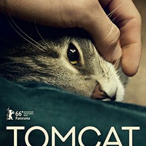 Tomcat (DVD)