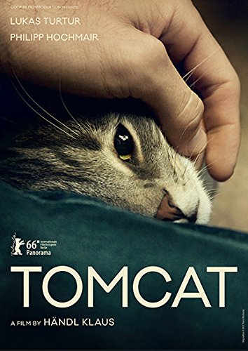Tomcat (DVD)