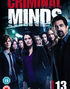 Criminal Minds - Season 13 (DVD)