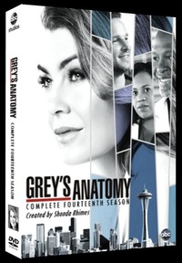 Greys Anatomy - Season 14 (DVD)