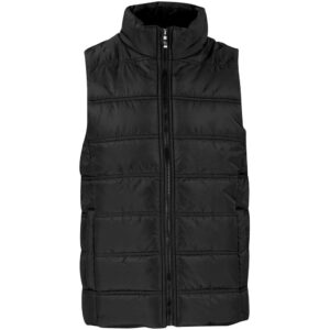Altitude Lando Bodywarmer - Mens - black
