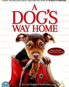 Dogs way home, A (DVD)
