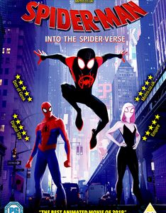 Spider-Man: Into The Spider-Verse (DVD)