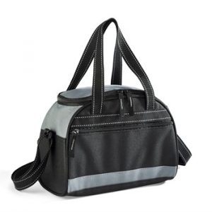 Brisk 9-Can Cooler - grey