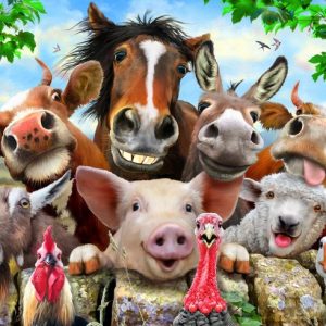 Farm Selfie (36pc Puzzle) (RGS349)