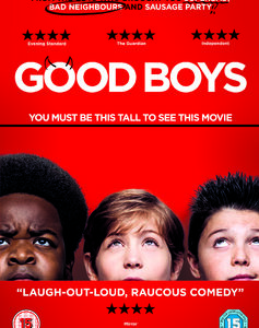 Good Boys (DVD)