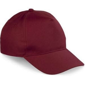 Altitude Brooklyn 5 panel cap - maroon