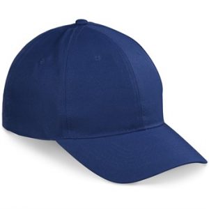 Altitude Jozi 6 panel peak - blue