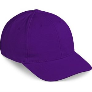 Altitude Pro Basic peak - purple