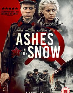 Ashes in the Snow (DVD)