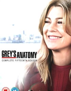 Greys Anatomy - Season 15 (DVD)