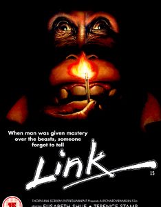 Link (Elizabeth Shue, Terence Stamp) (DVD)