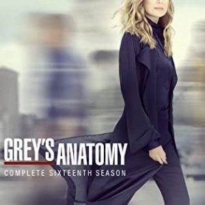 Greys Anatomy - Season 16 (DVD)
