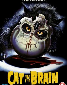 Cat in the Brain, A (DVD)