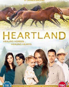 Heartland - Series 13 (DVD)
