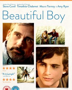Beautiful Boy (Steve Carell) (DVD)