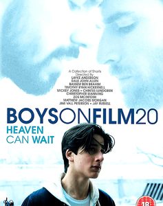 Boys on Film 20: Heaven can wait (DVD)