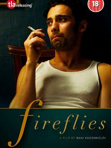 Fireflies (DVD)