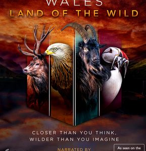 Wales - Land of the Wild (Blu Ray)