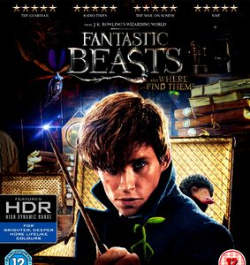 Fantastic Beasts and where to find them (4K Ultra HD+Blu Ray)