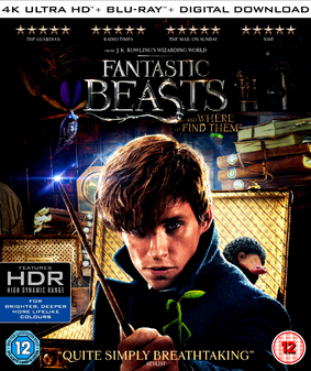 Fantastic Beasts and where to find them (4K Ultra HD+Blu Ray)