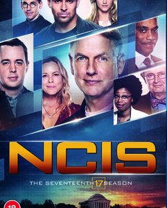 NCIS - Season 17 (DVD)