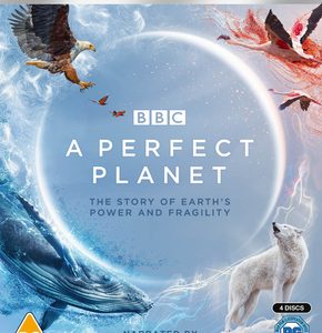David Attenborough - A Perfect Planet (4K Ultra HD+Blu Ray)